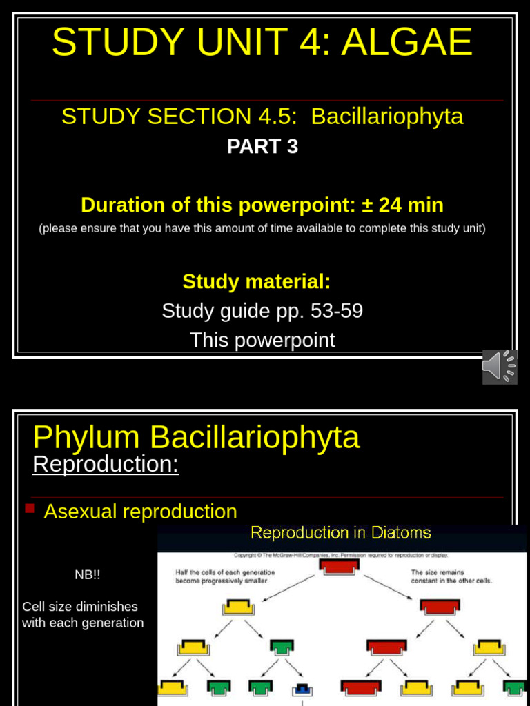 SS4.5 Bacillariophyta+Part+3 VO | PDF | Branches Of Botany | Zoology
