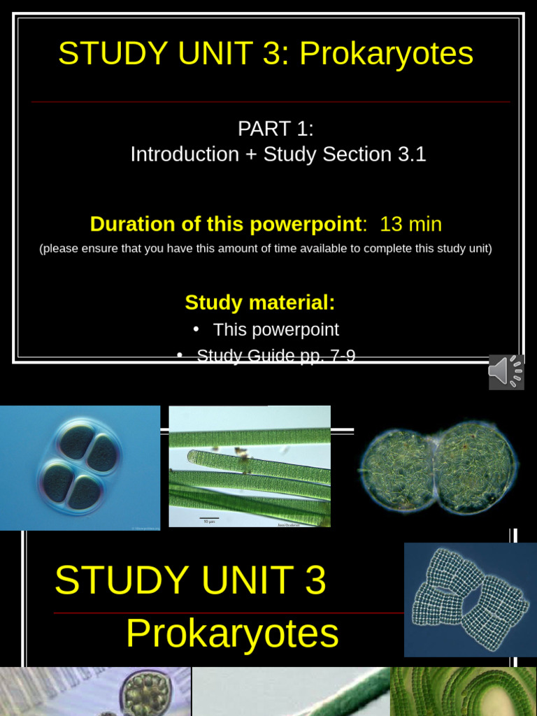 SU3 - Prokaryotes Part 1 - VO-1 | PDF