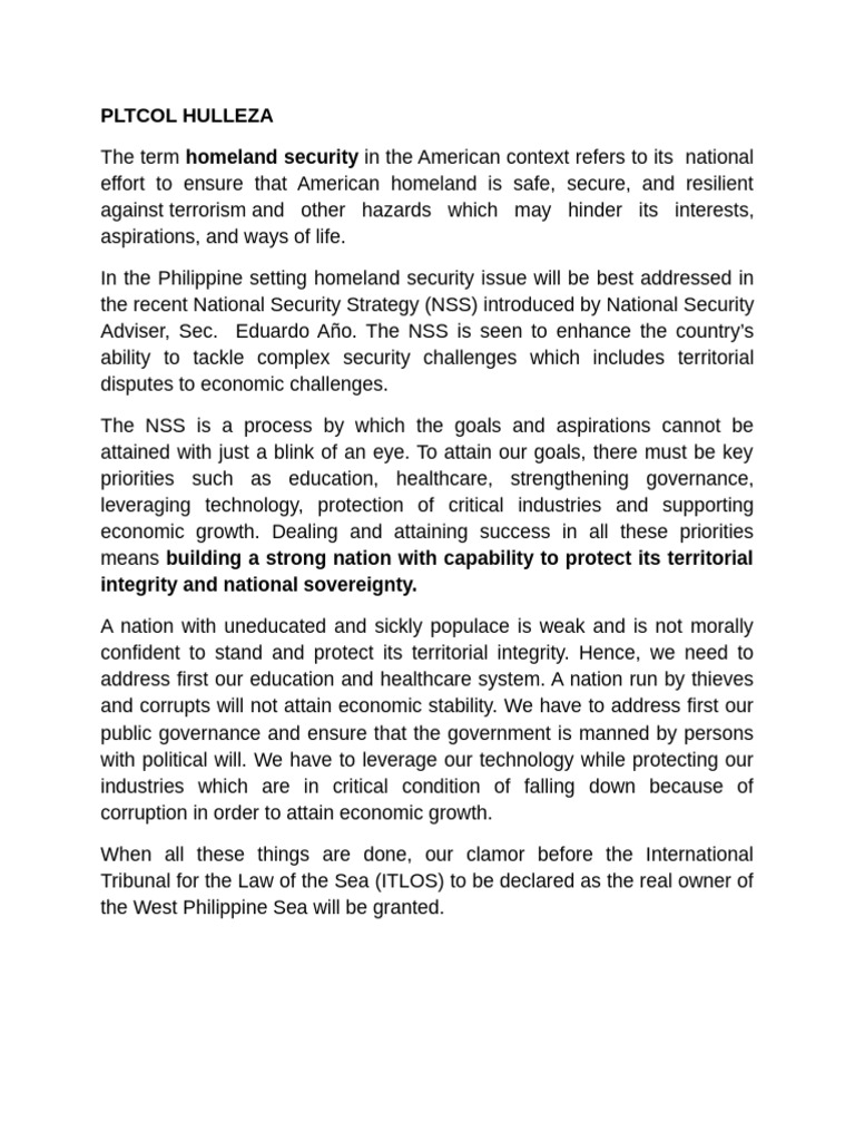 National Security Strategy Pdf