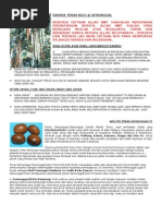 Download Rahsia Teras Kilo by Koleksi Mistik SN82709214 doc pdf