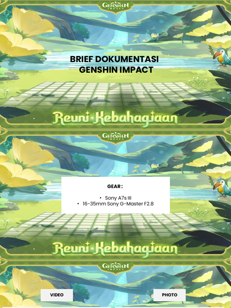 Genshin Impact Video Documentation Guide | PDF | Media Formats ...