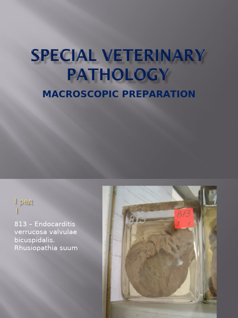 Macroscopic Preparation - Special Pathology | PDF