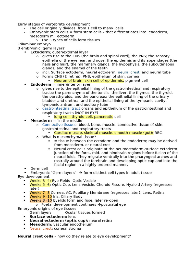 Vertebrate Development & Eye Formation | PDF | Retina | Anatomy