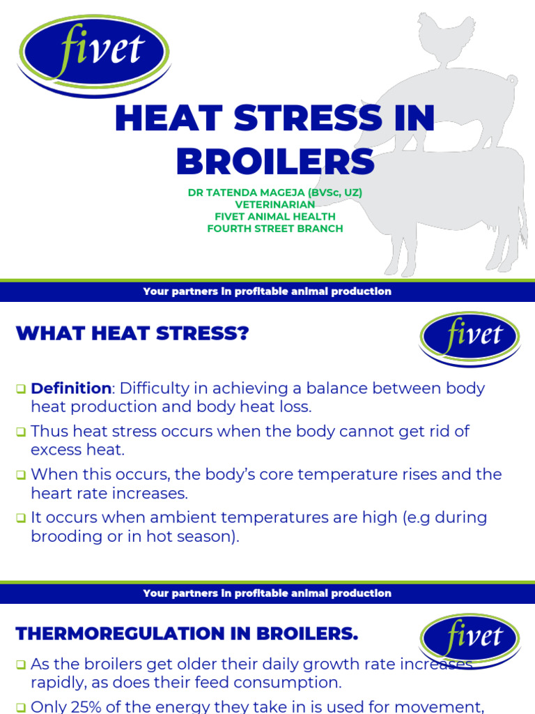 Heat Stress in Broilers | PDF | Thermoregulation | Hyperthermia