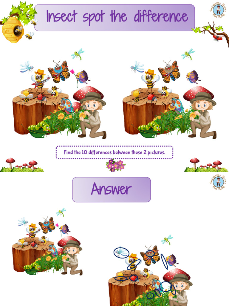 Insect Spot the Difference Game | PDF
