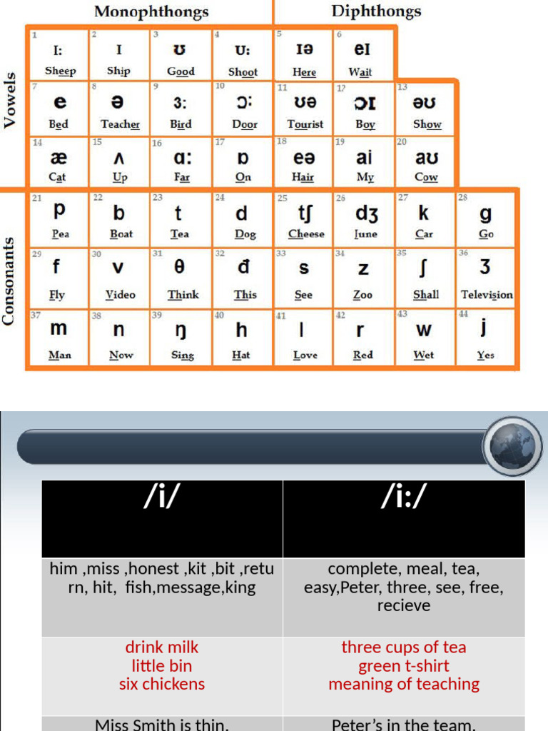 Phonetic Sounds and Example Sentences | PDF | Foods