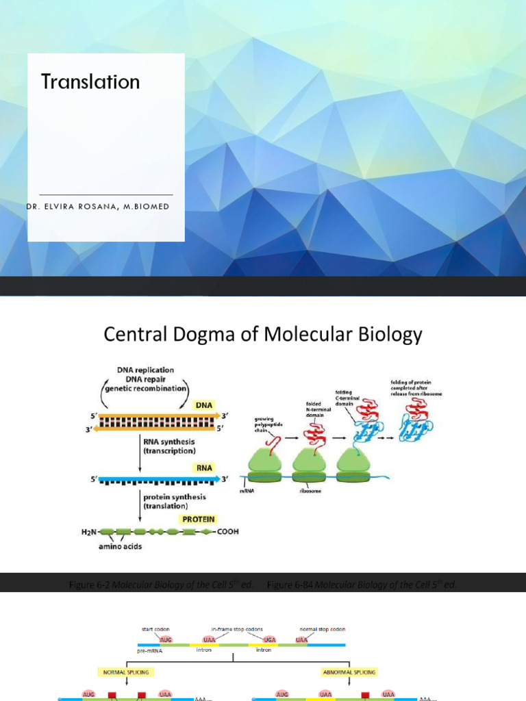 Cellular Localization and Modifications | PDF