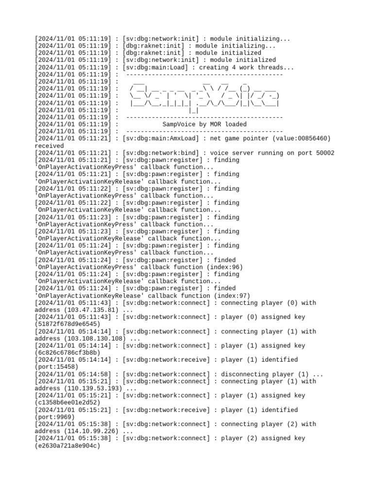 SampVoice Network Initialization Logs | PDF | Computing | Computer ...