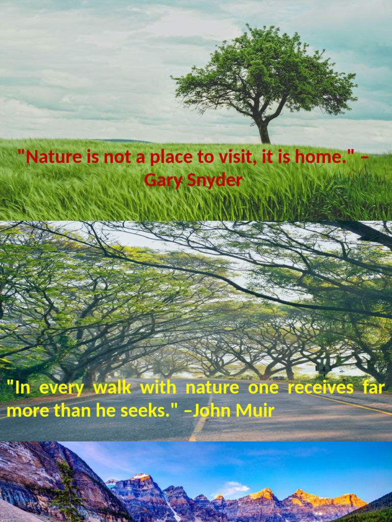 Inspiring Nature Quotes Collection | PDF