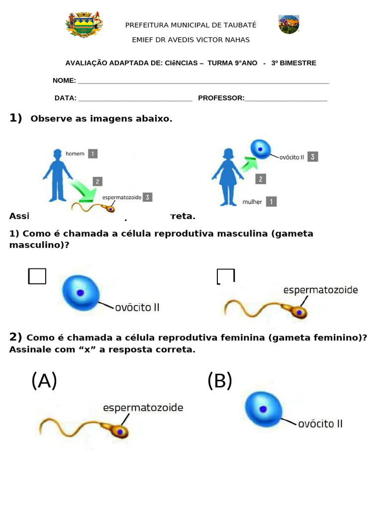 Atividade Adaptada 9 Ano Genética Semanas 3 e 4 Reprodução Gametas ...