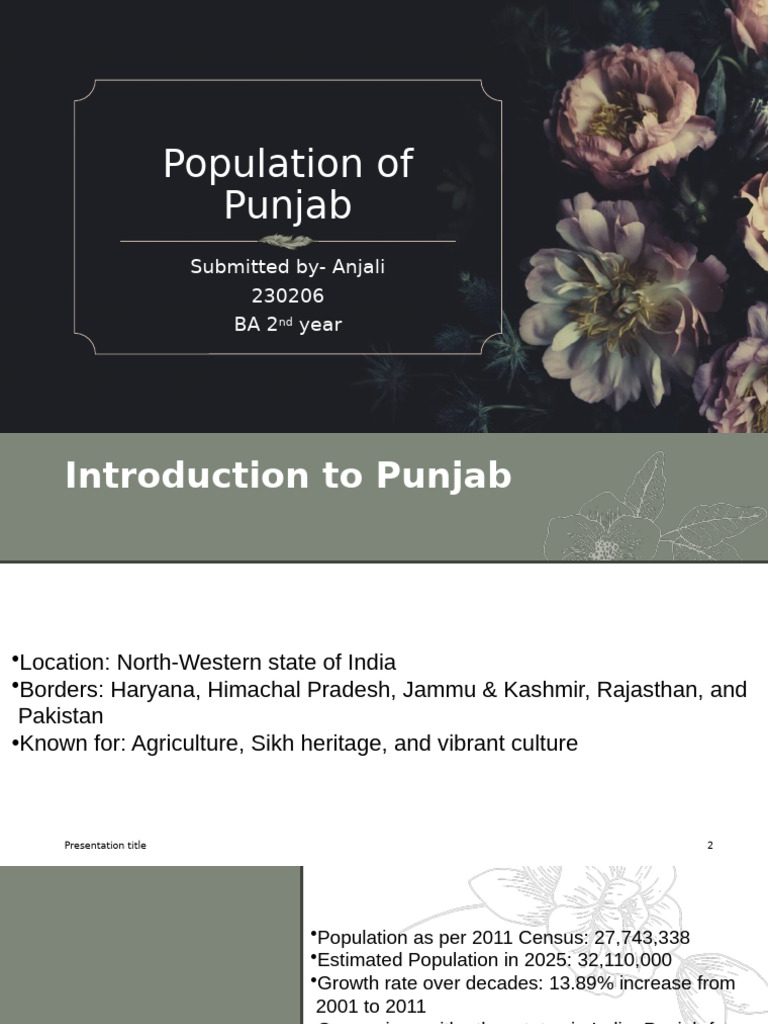 Punjab visual data 4