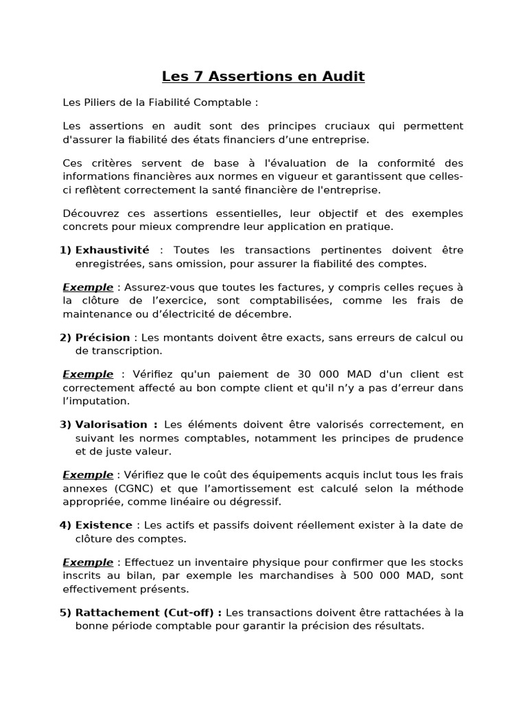 Les 7 Assertions d'Audit Essentielles | PDF | Comptabilité analytique ...