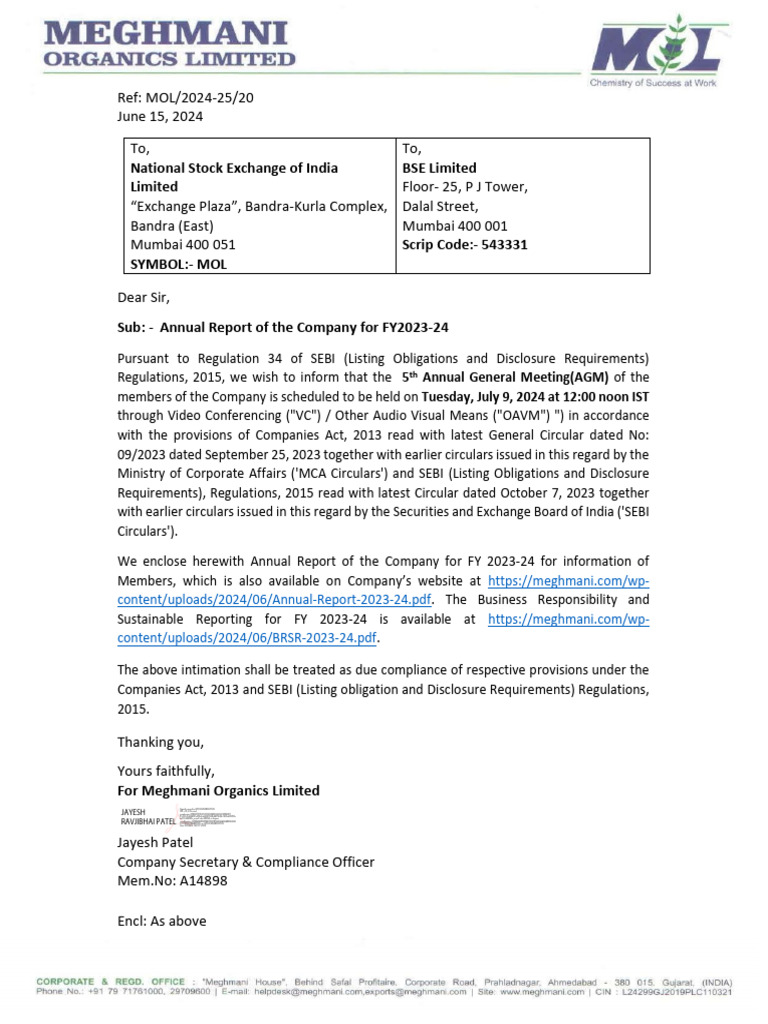 Meghmani Industries | PDF | Titanium Dioxide | Fertilizer