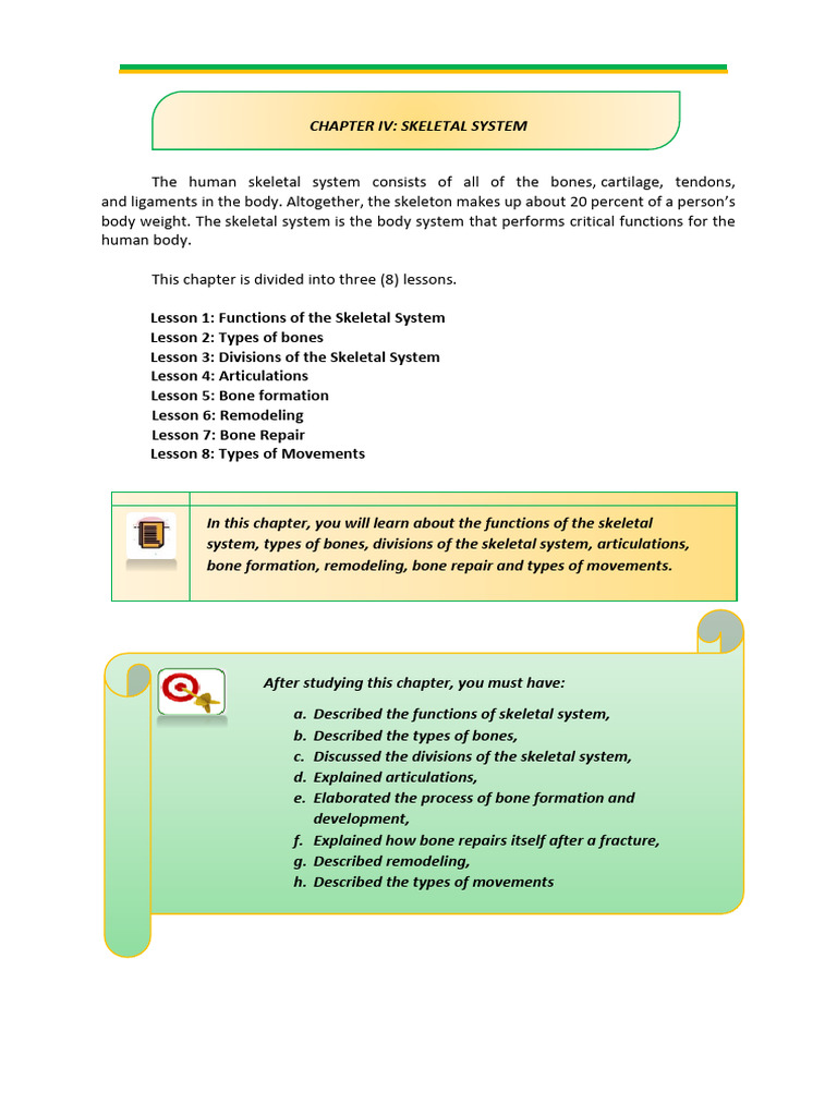 SKELETAL-SYSTEM-1-2 | PDF | Bone | Skeleton