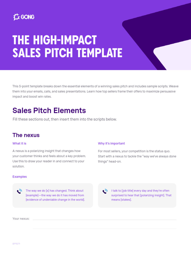 High-Impact Sales Pitch Template | PDF | Cognition | Human Communication
