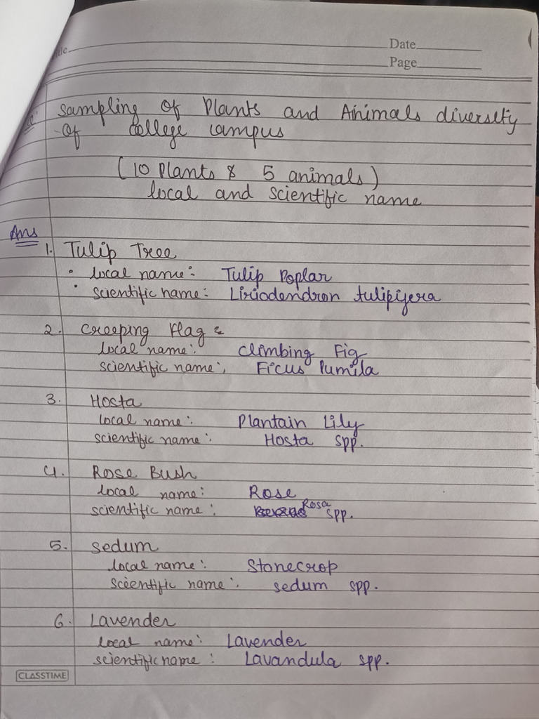 Plant and Animal Classification Guide | PDF