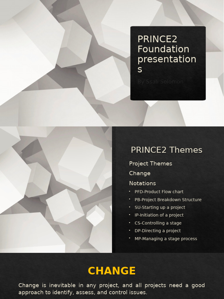 PRINCE 2 Themes Change | PDF | Risk | Business