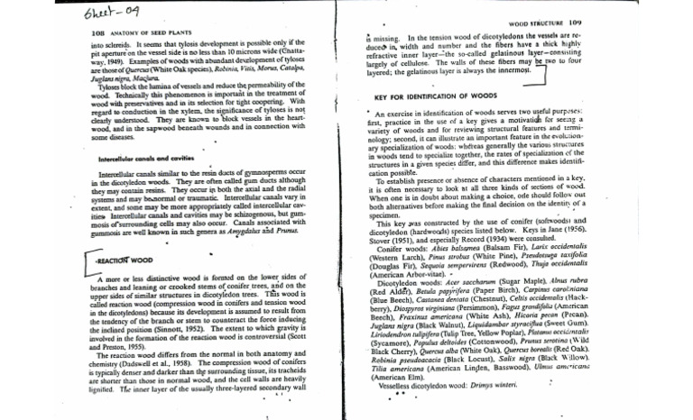 Bhadra Sir Sheet 4 | PDF
