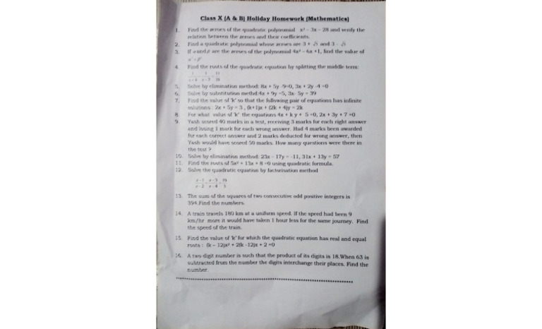 Class X Holiday Math Homework Guide | PDF