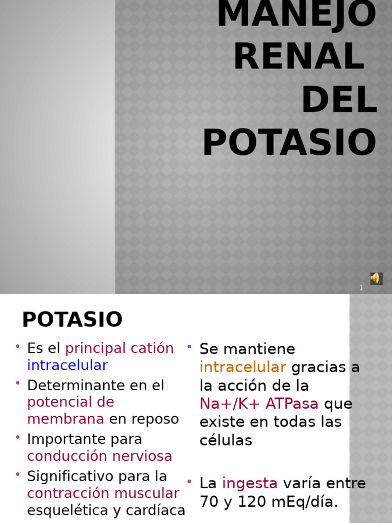 Manejo Renal del Potasio en el Cuerpo | PDF | Riñón | Potasio