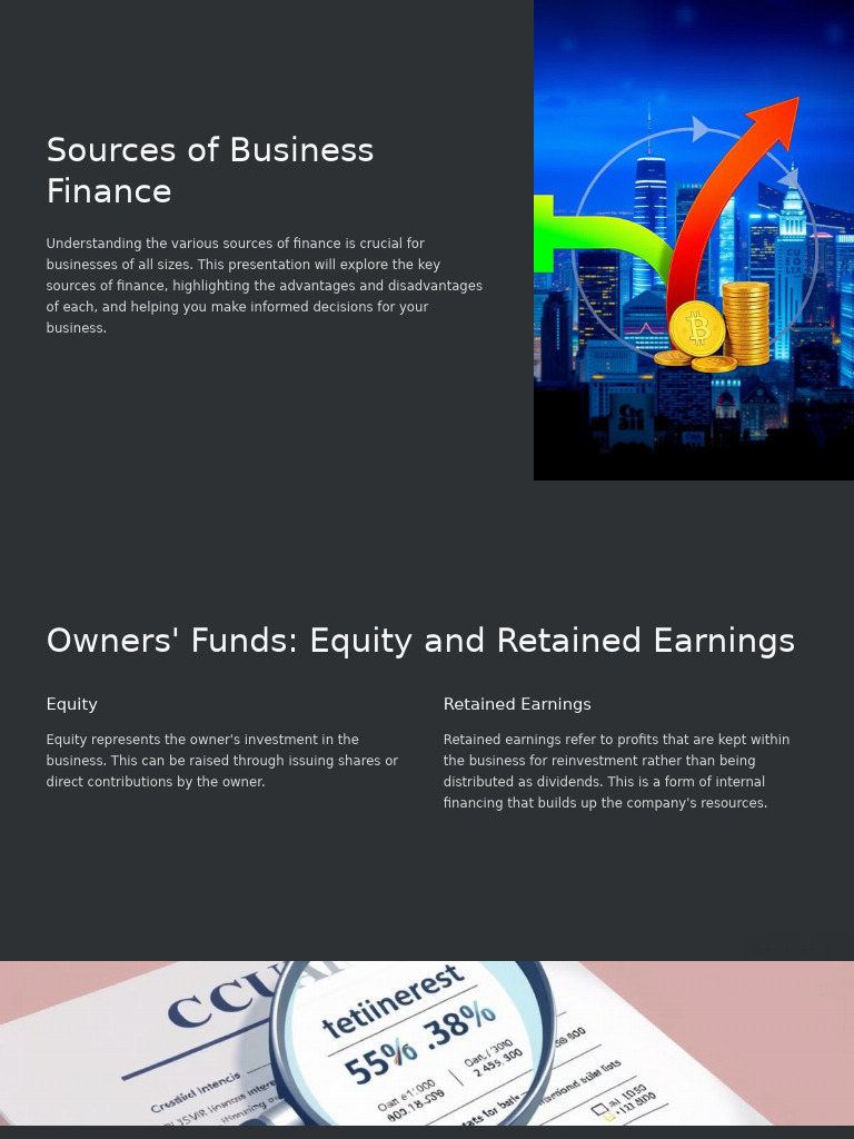 Sources of Business Finance | PDF | Debt | Finance & Money Management