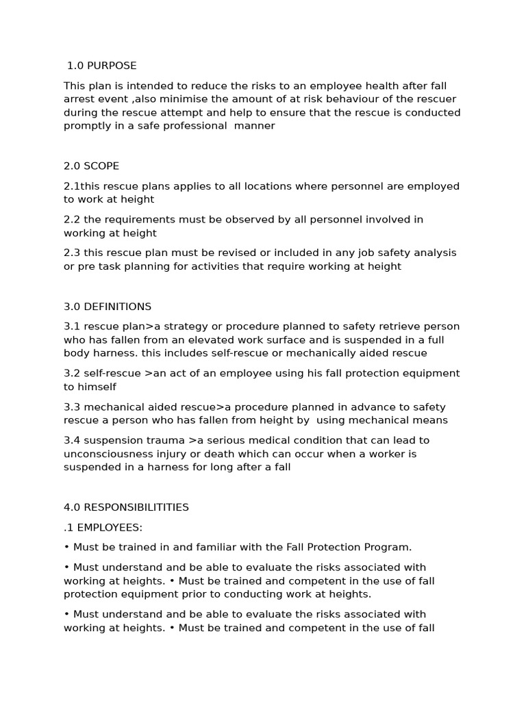 Rescue Plan | PDF | Safety | Risk