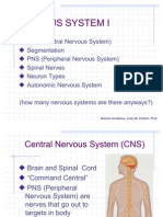 Nervous System I