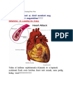 Infarkt_es_melegviz_ivasa_doc_