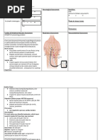 ECG Form LIC03-002 | PDF | Cardiovascular Diseases | Physiology