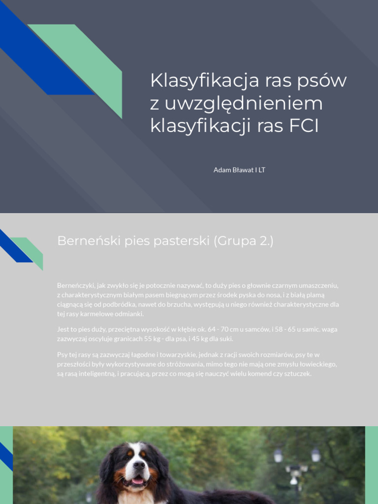 Klasyfikacja Ras Psów | PDF