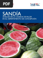 Download SANDA - Anlisis de la cadena de valor en el Departamento de Concepcin - USAID - PARAGUAY VENDE - PortalGuarani by Portal Guarani SN82729620 doc pdf