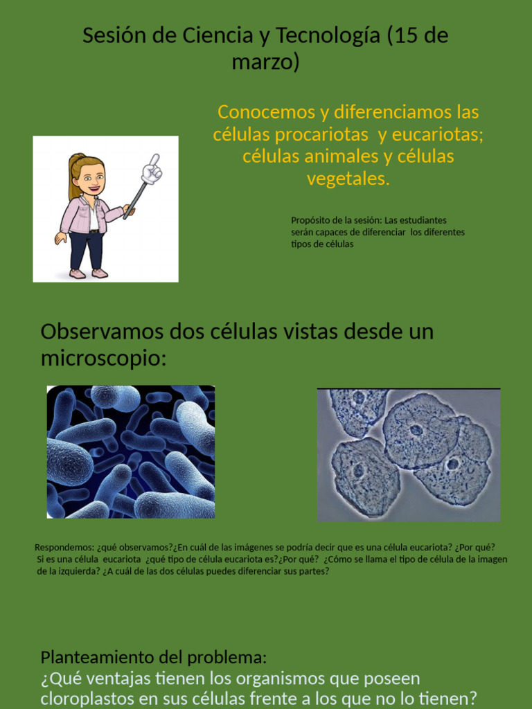 Sesion CT 3 Sexto Grado | PDF
