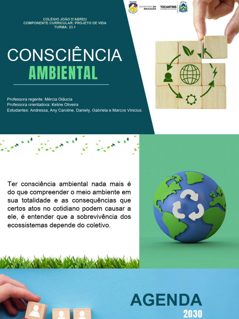 Consciência Ambiental e Sustentabilidade | PDF