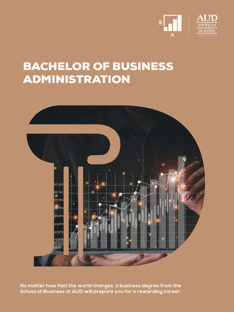 BBA Program Overview at AUD | PDF | University And College Admission ...