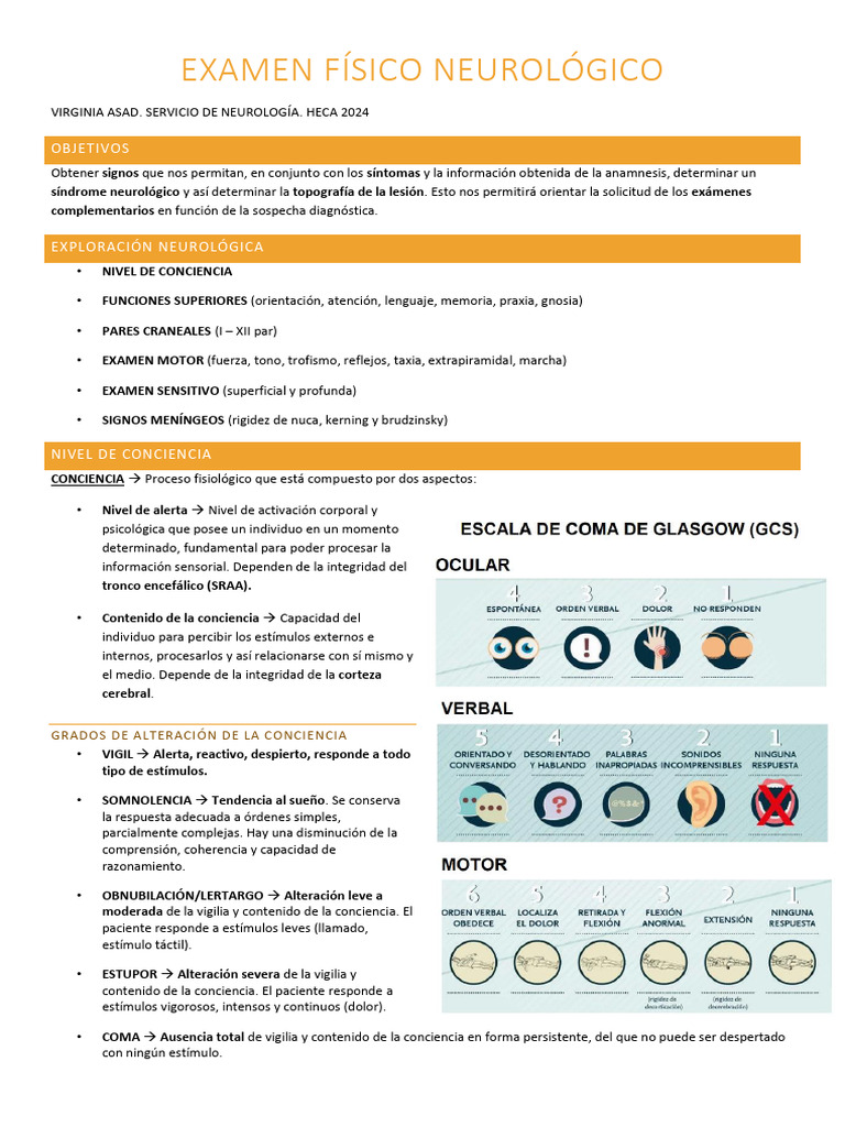 Examen Físico Neurológico Heca 2024 | PDF | Conciencia | Neurología