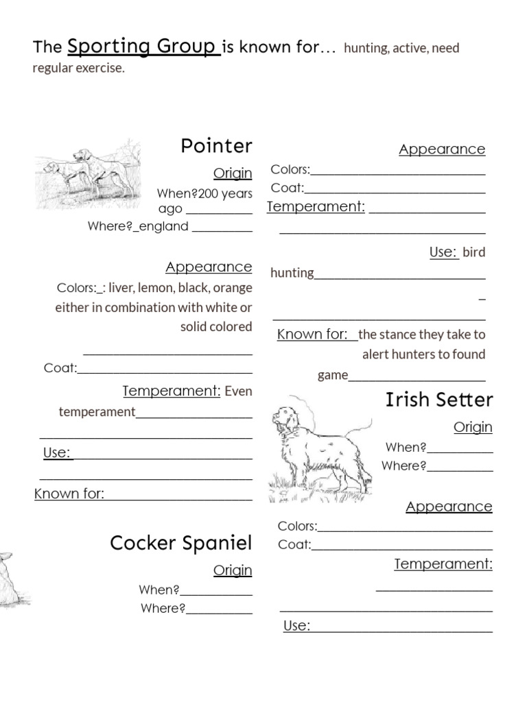 Dog Breed Profiles | PDF | Dog Breeds | Dog Types