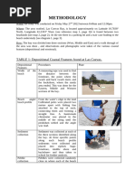 Coastal Fieldwork Techniques for GCSE | PDF | Coast | Beach
