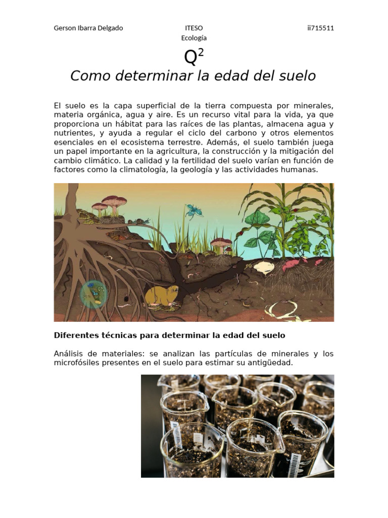 Cómo determinar la edad del suelo | PDF