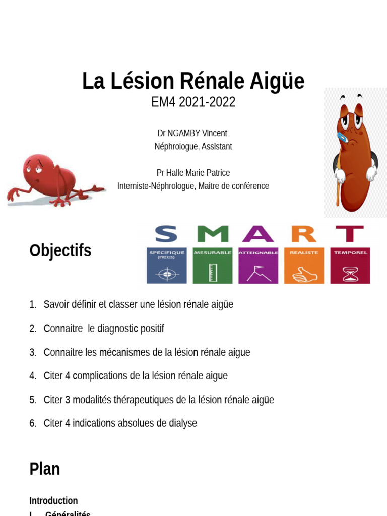 l-sion-r-nale-aig-e-diagnostic-et-traitement-pdf-hypertension