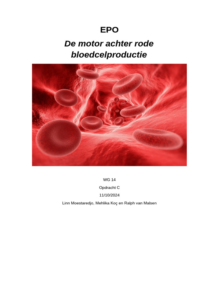 De Motor Achter Rode Bloedcelproductie: WG 14 Opdracht C 11/10/2024 ...