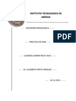 Practica de Bioquimica