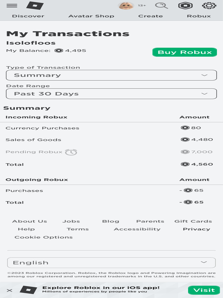 Roblox Transaction Summary | PDF