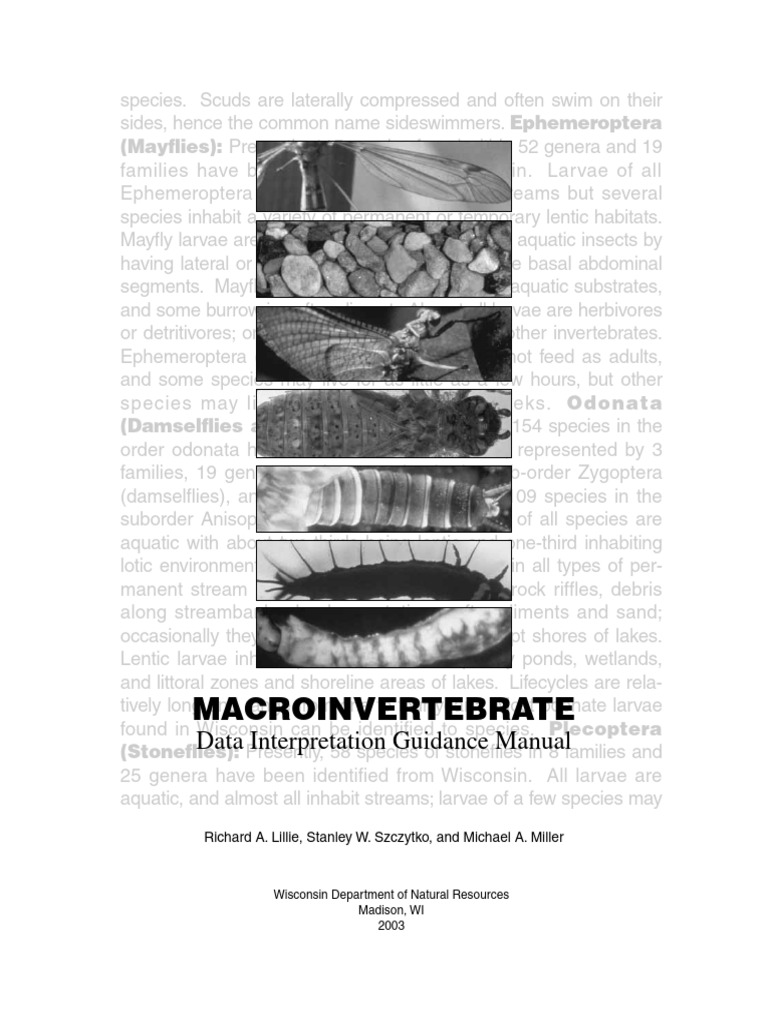 Wisconsin Aquatic Insect Guide | PDF | Earth Sciences