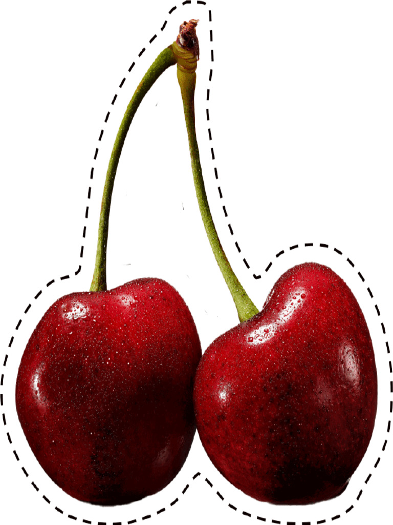 Cherry | PDF