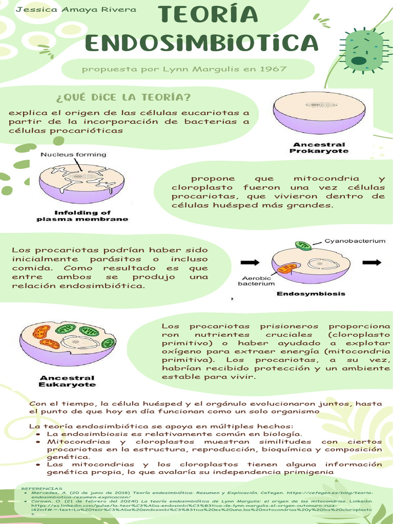 Infografía sobre la Teoría Endosimbiótica | PDF | Biología Celular ...