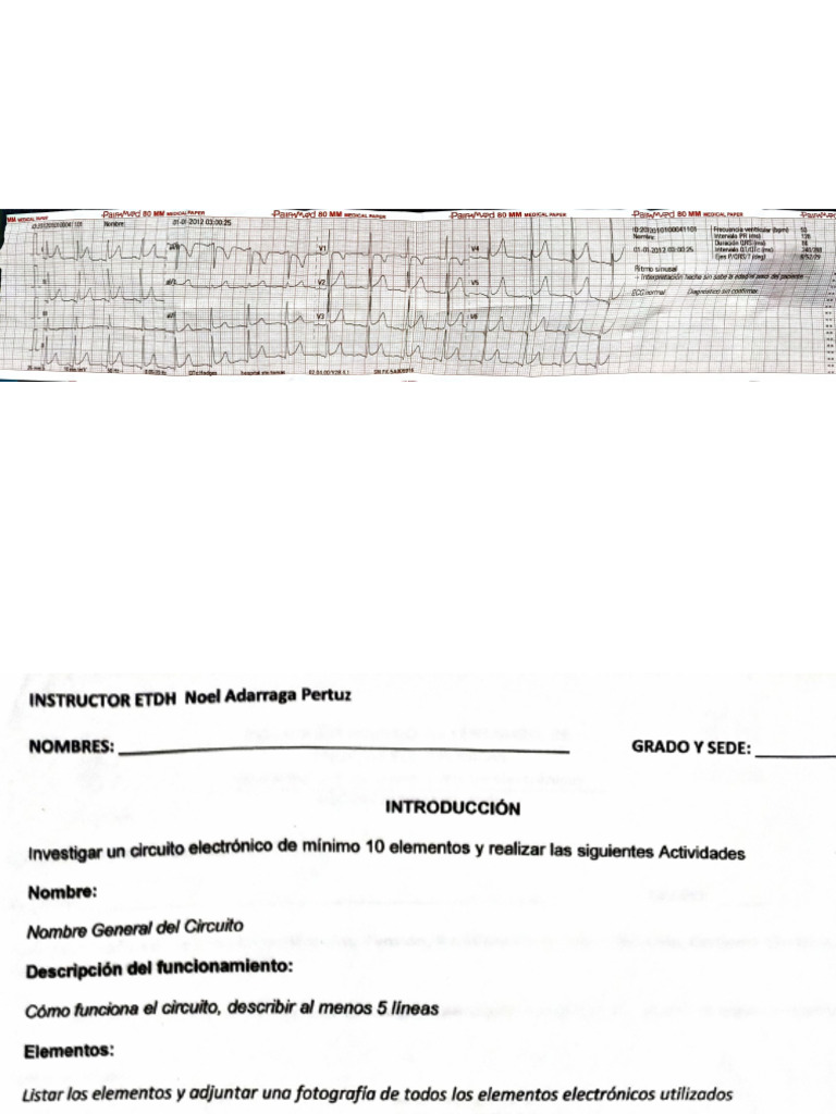 Documento 17 | PDF