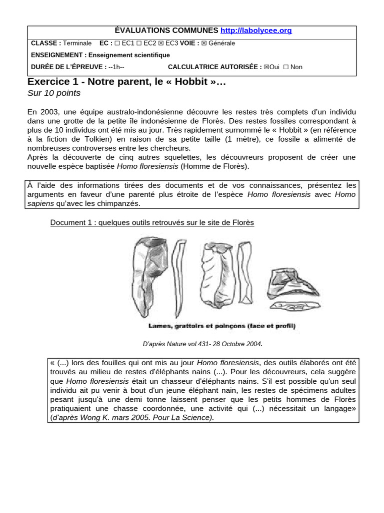 Parenté entre Homo floresiensis et Homo sapiens | PDF | Évolution ...