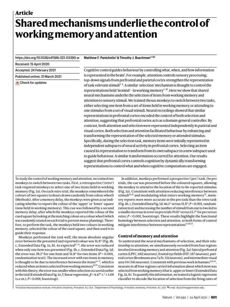 Shared Mechanisms of Working Memory and Attention | PDF | Attention ...