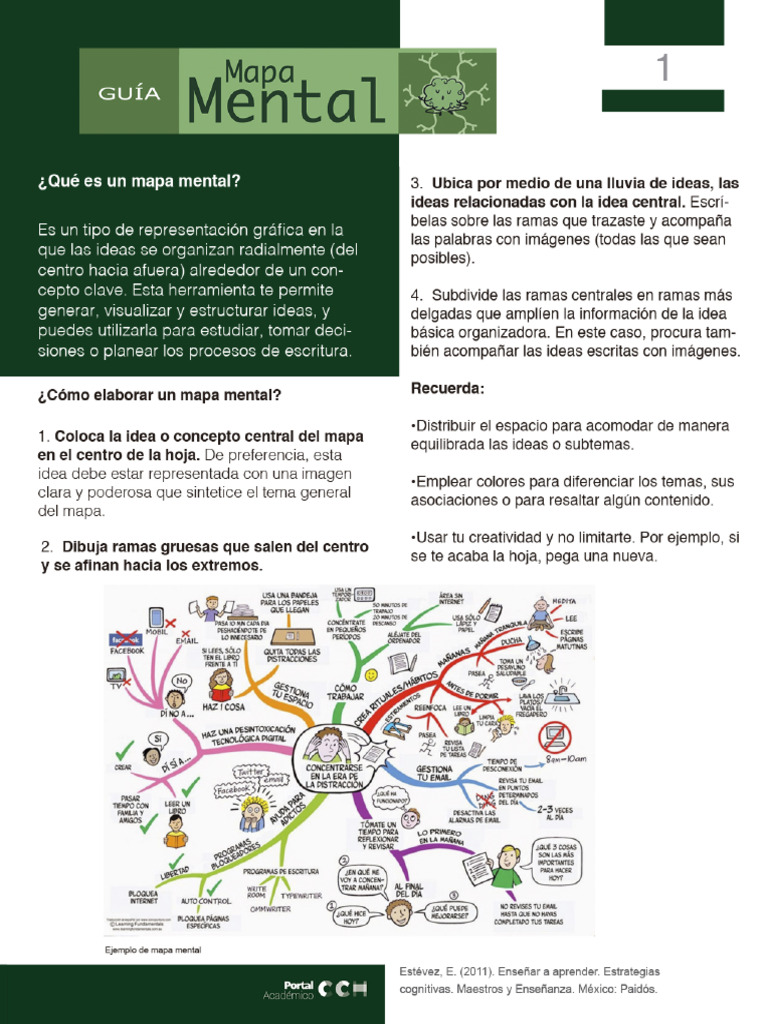 Mapa Mental | PDF
