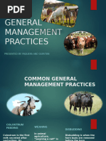 Livestock Isolation and Quarantine Guide | PDF | Quarantine | Livestock